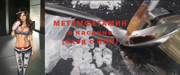 прущие крисы Новозыбков