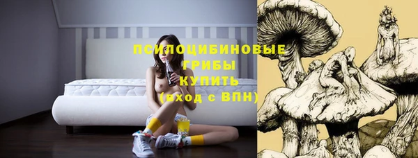 2c-b Зерноград