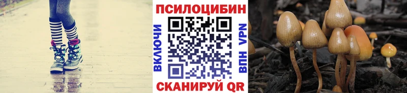Псилоцибиновые грибы прущие грибы  Радужный 