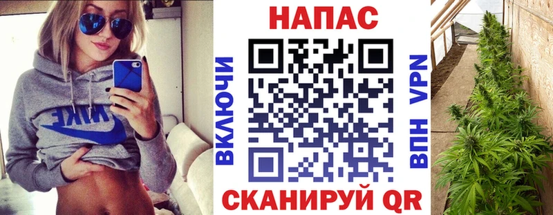 Марихуана план  магазин    Радужный 